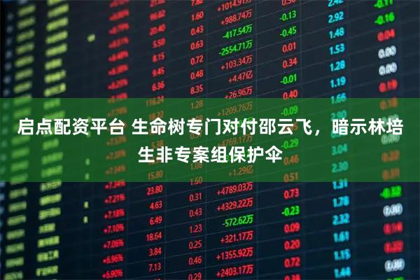 启点配资平台 生命树专门对付邵云飞，暗示林培生非专案组保护伞